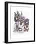 German Shepard-Barbara Keith-Framed Giclee Print