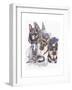 German Shepard-Barbara Keith-Framed Giclee Print