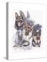 German Shepard-Barbara Keith-Stretched Canvas