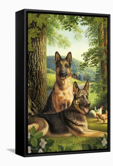 German Shepards/Chicken-Dan Craig-Framed Stretched Canvas