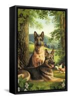 German Shepards/Chicken-Dan Craig-Framed Stretched Canvas