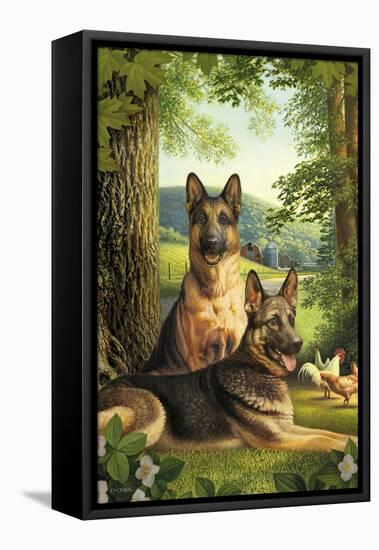 German Shepards/Chicken-Dan Craig-Framed Stretched Canvas