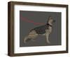 German Sheperd Hero-Dominique Vari-Framed Art Print