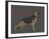 German Sheperd Hero-Dominique Vari-Framed Art Print