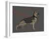 German Sheperd Hero-Dominique Vari-Framed Art Print