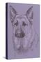 German Shepherd 1-Barbara Keith-Stretched Canvas