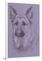 German Shepherd 1-Barbara Keith-Framed Giclee Print