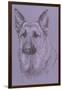 German Shepherd 1-Barbara Keith-Framed Giclee Print