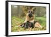 German Shepherd Adult with Puppy-null-Framed Photographic Print
