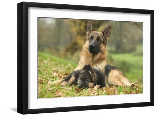 Premium Photographic Print, , large