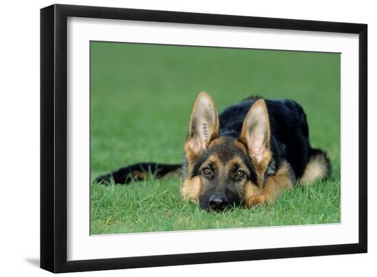 Premium Photographic Print, , large