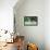 German Shepherd, Alsatian Dog-null-Framed Stretched Canvas displayed on a wall