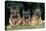 German Shepherd, Alsatian Dogs Three Lying Down Together-null-Stretched Canvas