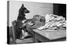 German Shepherd at a Typewriter-null-Stretched Canvas