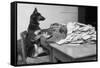 German Shepherd at a Typewriter-null-Framed Stretched Canvas