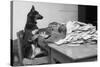 German Shepherd at a Typewriter-null-Stretched Canvas