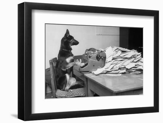 German Shepherd at a Typewriter-null-Framed Premium Photographic Print