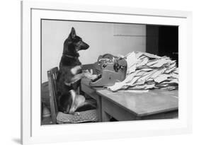 German Shepherd at a Typewriter-null-Framed Photographic Print