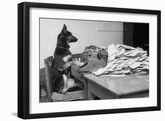 German Shepherd at a Typewriter-null-Framed Photographic Print