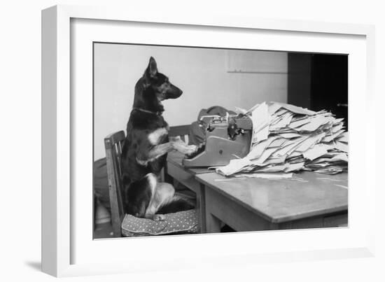 German Shepherd at a Typewriter-null-Framed Photographic Print