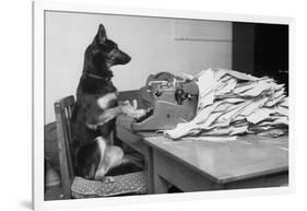 German Shepherd at a Typewriter-null-Framed Photographic Print