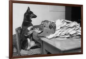 German Shepherd at a Typewriter-null-Framed Photographic Print