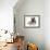 German Shepherd Dog (Alsatian) Bitch Puppy, Echo, with a Tabby Kitten-Mark Taylor-Framed Photographic Print displayed on a wall