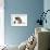 German Shepherd Dog Bitch, Coco, Looking Down on Black Kitten-Mark Taylor-Framed Photographic Print displayed on a wall