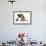 German Shepherd Dog Bitch, Coco, Looking Down on Black Kitten-Mark Taylor-Framed Photographic Print displayed on a wall