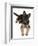 German Shepherd Dog Bitch Pup, Coco, 14 Weeks Old, Lying Down and Looking Up-Mark Taylor-Framed Photographic Print