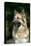 German Shepherd Dog (Head Shot)-null-Stretched Canvas