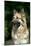 German Shepherd Dog (Head Shot)-null-Mounted Photographic Print