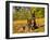 German Shepherd Dog in Fall Color-Lynn M^ Stone-Framed Premium Photographic Print