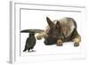German Shepherd Dog Watching a Young Jackdaw-Mark Taylor-Framed Photographic Print