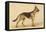 German Shepherd Dog-null-Framed Stretched Canvas