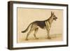 German Shepherd Dog-null-Framed Art Print