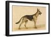 German Shepherd Dog-null-Framed Art Print