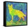 German Shepherd Dog-Cora Niele-Framed Stretched Canvas