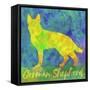 German Shepherd Dog-Cora Niele-Framed Stretched Canvas