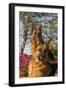 German Shepherd Dogs (Female) in Early Autumn Flowers, Geneva, Illinois, USA-Lynn M^ Stone-Framed Photographic Print