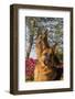 German Shepherd Dogs (Female) in Early Autumn Flowers, Geneva, Illinois, USA-Lynn M^ Stone-Framed Photographic Print