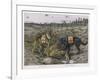 German Shepherd Dogs Used by the Red Cross to Locate Wounded Soldiers-null-Framed Art Print