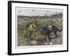 German Shepherd Dogs Used by the Red Cross to Locate Wounded Soldiers-null-Framed Art Print