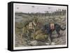 German Shepherd Dogs Used by the Red Cross to Locate Wounded Soldiers-null-Framed Stretched Canvas