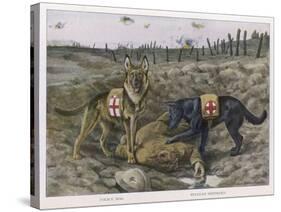 German Shepherd Dogs Used by the Red Cross to Locate Wounded Soldiers-null-Stretched Canvas