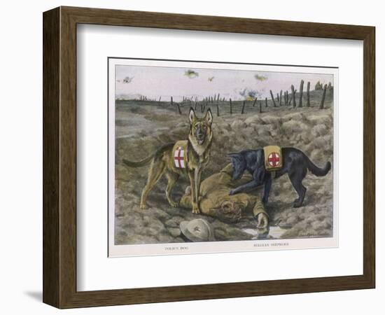 German Shepherd Dogs Used by the Red Cross to Locate Wounded Soldiers-null-Framed Art Print