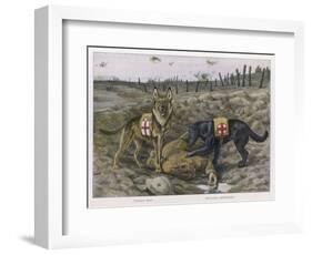 German Shepherd Dogs Used by the Red Cross to Locate Wounded Soldiers-null-Framed Art Print