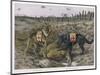 German Shepherd Dogs Used by the Red Cross to Locate Wounded Soldiers-null-Mounted Art Print