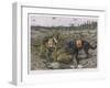 German Shepherd Dogs Used by the Red Cross to Locate Wounded Soldiers-null-Framed Art Print