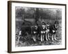 German Shepherd Dogs-Thomas Fall-Framed Photographic Print